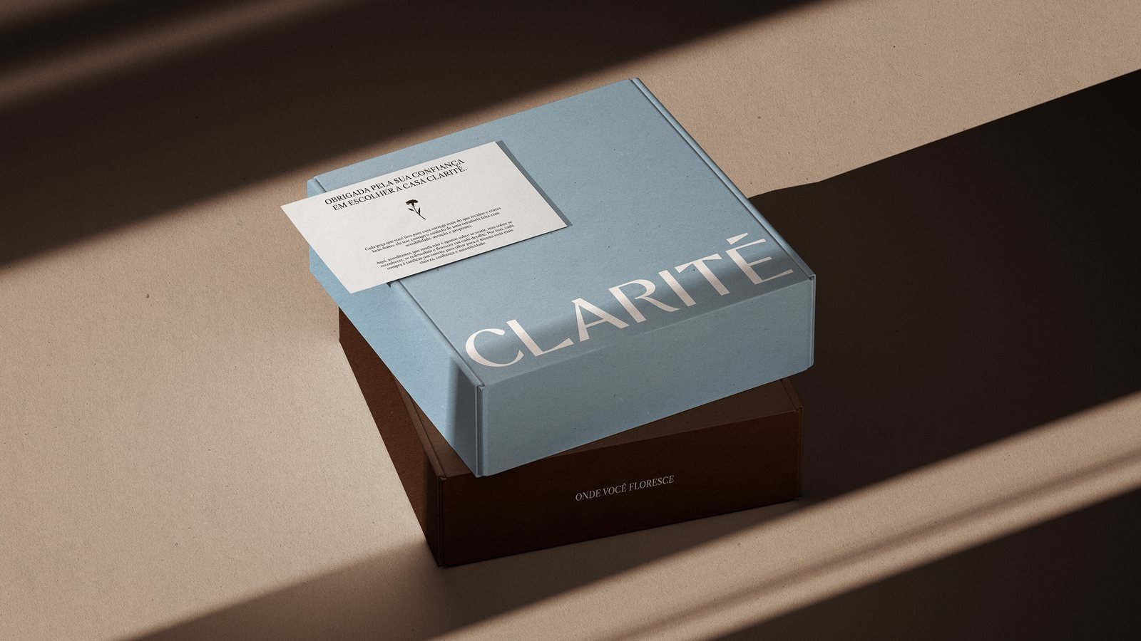 Casa Clarité, peça do projeto