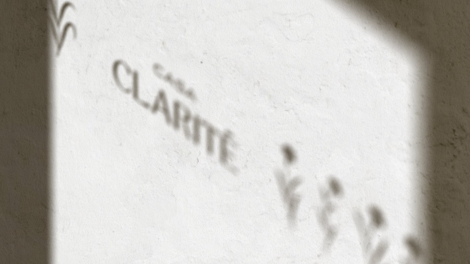 Casa Clarité, peça do projeto