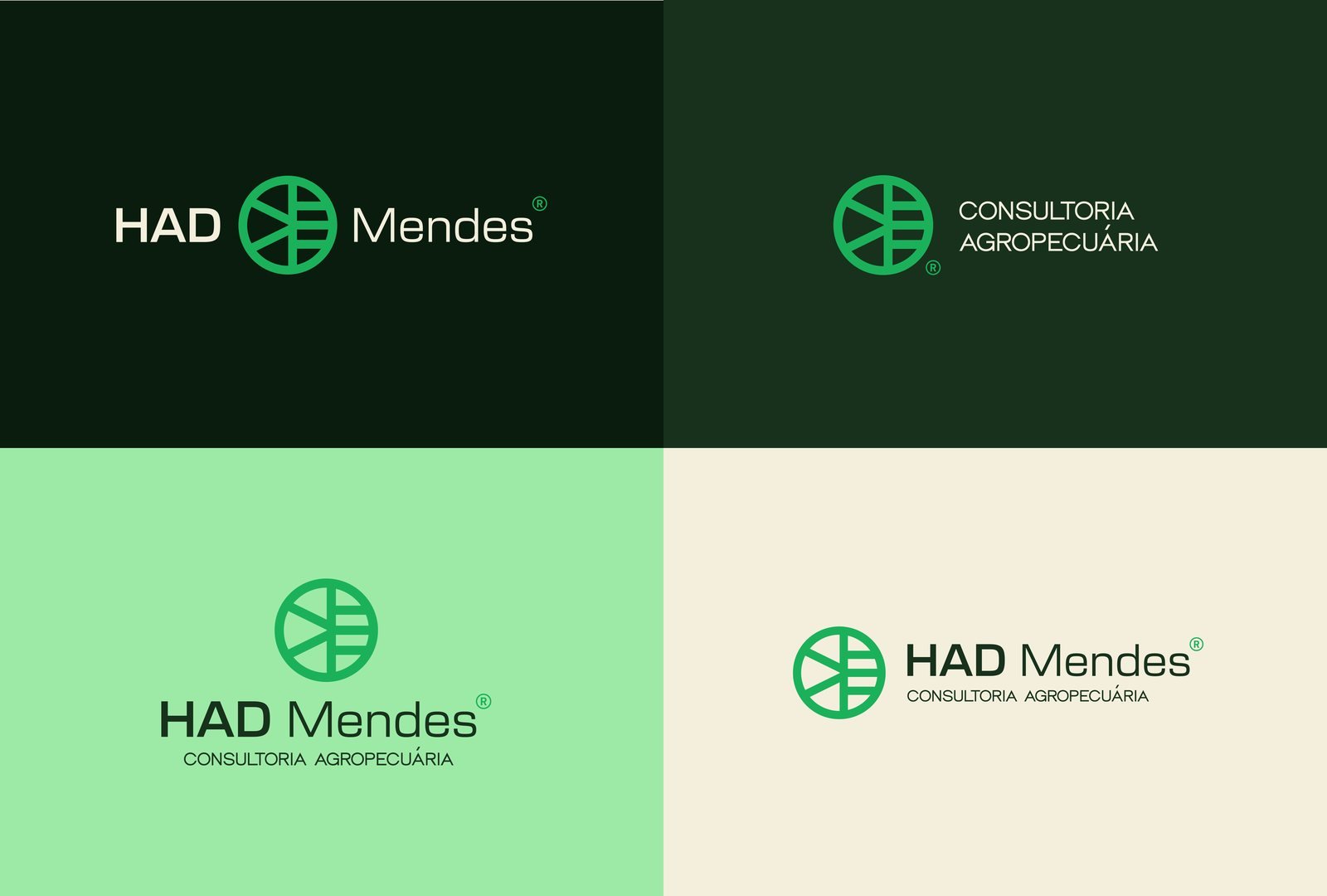 HAD Mendes, peça do projeto