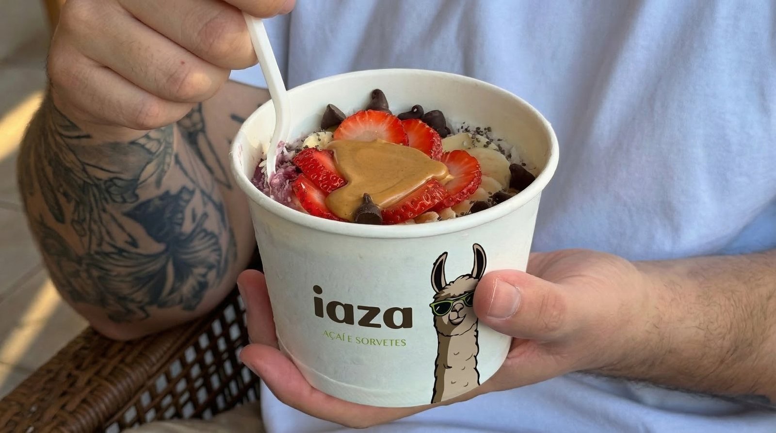 IAZA, peça do projeto