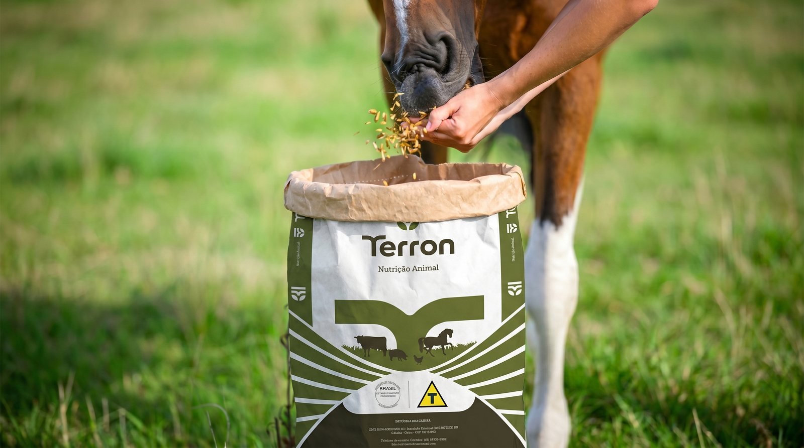 Terron, peça do projeto