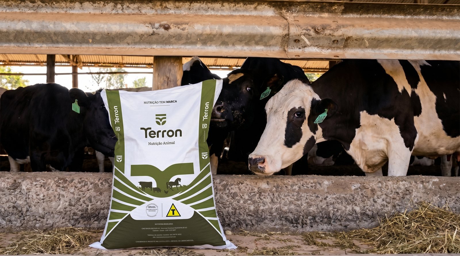 Terron, peça do projeto