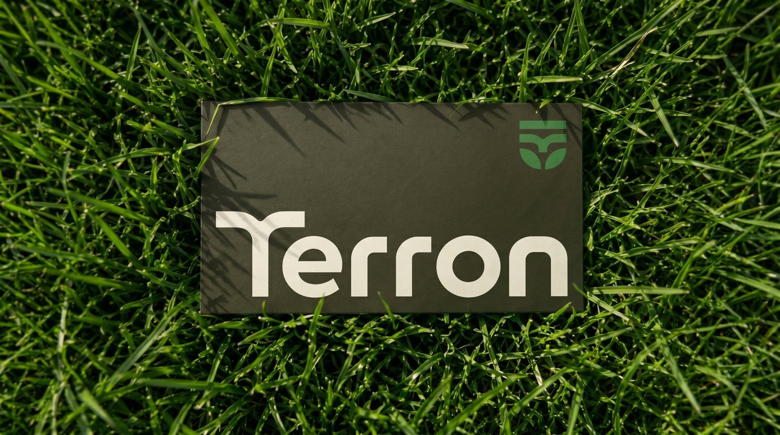 Terron, peça do projeto